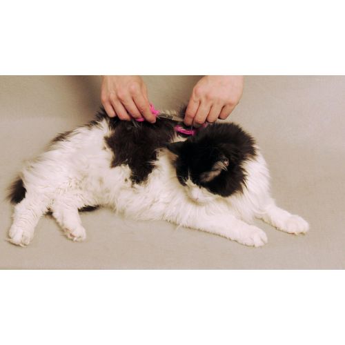  Scaredy Cut Silent Pet Clipper in Pink with Le Salon Mat Breaker