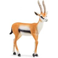 Schleich Wild Life New 2023, Wild Animal Safari Toys for Boys and Girls, Thomson Gazelle Toy Figurine, Ages 3+