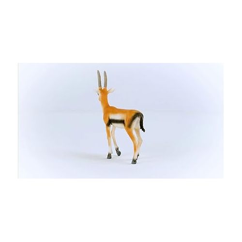  Schleich Wild Life New 2023, Wild Animal Safari Toys for Boys and Girls, Thomson Gazelle Toy Figurine, Ages 3+