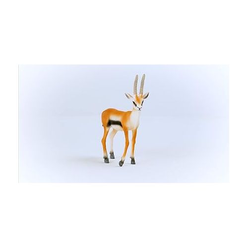  Schleich Wild Life New 2023, Wild Animal Safari Toys for Boys and Girls, Thomson Gazelle Toy Figurine, Ages 3+