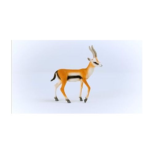  Schleich Wild Life New 2023, Wild Animal Safari Toys for Boys and Girls, Thomson Gazelle Toy Figurine, Ages 3+