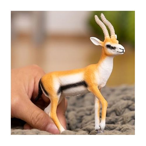  Schleich Wild Life New 2023, Wild Animal Safari Toys for Boys and Girls, Thomson Gazelle Toy Figurine, Ages 3+