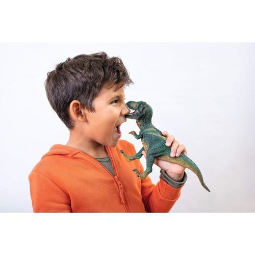  Schleich Dinosaurs Tyrannosaurus Rex Educational Figurine for Kids Ages 4-12