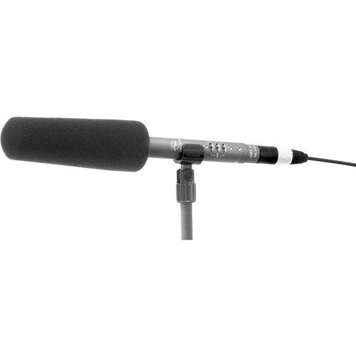  Schoeps W 140-Black Foam Windscreen for Schoeps CMIT5U and MiniCMIT Shotgun Microphones (Black)