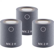 Schoeps MK 2H Microphone Capsule (Matched Trio, Matte Gray)