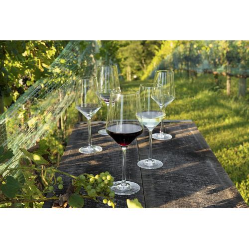 Schott Zwiesel Tritan Crystal Glass Pure Stemware Collection Burgundy Red Wine Glass, 23.4-Ounce, Set of 6