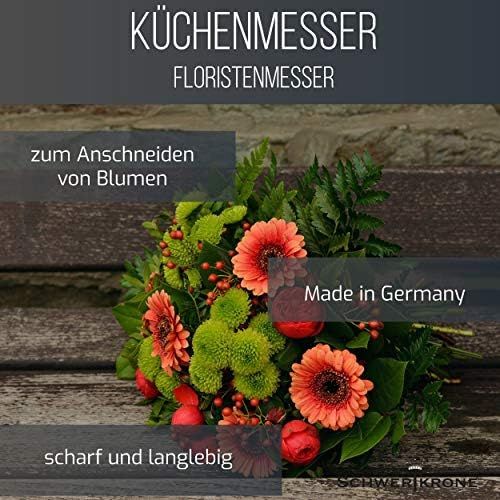  [아마존베스트]Schwertkrone Set of 10 Vegetable Knife Kitchen Knife Paring Knife Made of Band Steel  Germany Rustproof 16 cm Total Length  6 cm Blade (Red)