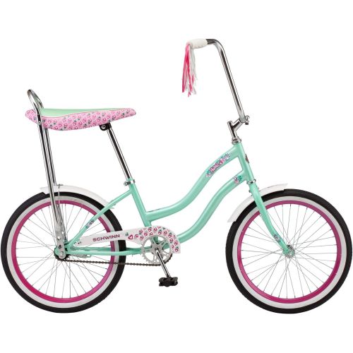  Schwinn Hazel Kids Bike, 20-Inch Wheels