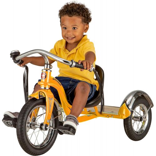  Schwinn Roadster Kids Tricycle, 12-Inch Wheel