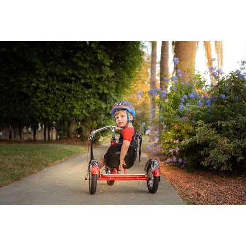  Schwinn Roadster Kids Tricycle, 12-Inch Wheel