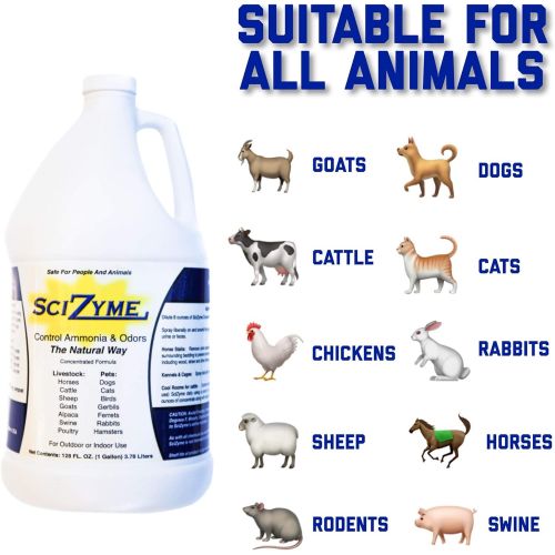  SciZyme - Fresh 500 Concentrate - Enzyme Based Eliminator and Control Odors and Ammonia in Cooler Rooms, Barns, Trailers, Kennels, Concrete (1 Gallon)