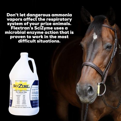  SciZyme - Fresh 500 Concentrate - Enzyme Based Eliminator and Control Odors and Ammonia in Cooler Rooms, Barns, Trailers, Kennels, Concrete (1 Gallon)