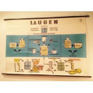 Science4art School chart | Pull down chart | Wall chart | Schulwandkarte - Laugen (Lyes)