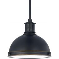 Sea Gull Lighting 65085EN3-715 Pratt Street Metal One-Light Pendant with Glass Diffuser, Autumn Bronze Finish