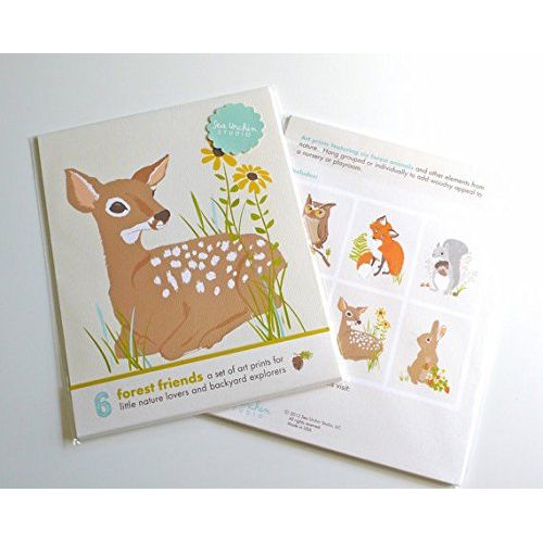  Sea Urchin Studio Print Set, Woodland Forest Friends