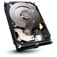 SEAGATE ST320DM000 Barracuda 7200.12 320GB 7200 RPM 16MB cache SATA 6.0Gb/s 3.5 internal hard drive (Bare Drive)