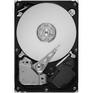 Seagate 320GB HDD SATA 6Gb/s 64MB Cache 3.5-Inch Internal Bare Drive (ST320DM000)