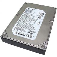 Seagate DB35 ST3300820ACE 300 GB Internal Hard Drive