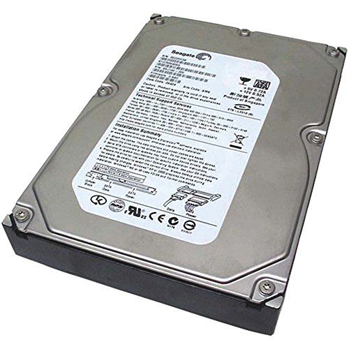  Seagate DB35 ST3300820ACE 300 GB Internal Hard Drive