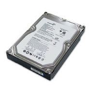 Seagate DB35.2 160GB UDMA/100 7200RPM 2MB IDE Hard Drive