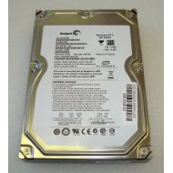 Seagate Barracuda ES.2 - Hard drive - 250 GB - internal - 3.5 - SATA-300 - 7200 rpm - buffer: 32 MB - ST3250310NS