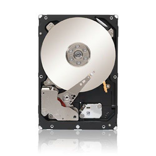  Seagate 4TB Enterprise Capacity HDD 7200RPM SATA 6Gbps 128 MB Cache?Internal Bare Drive (ST4000NM0033)