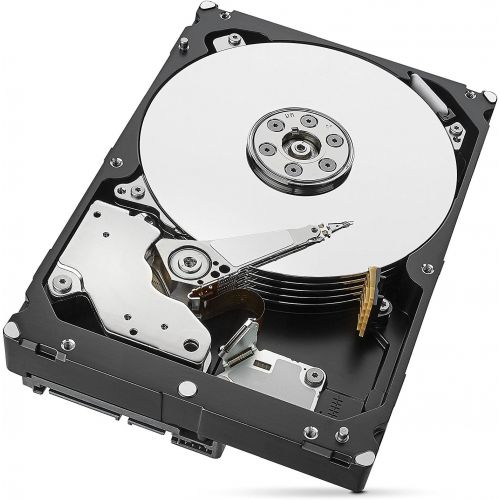  Seagate Skyhawk ST6000VX0023 6 TB Internal Hard Drive