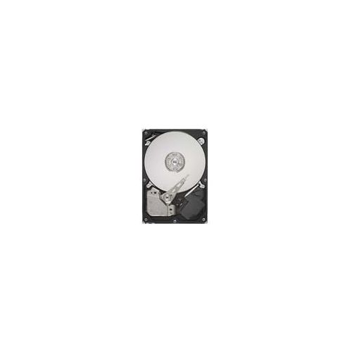  Seagate Barracuda 7200.12 ST3320413AS 320 GB Internal Hard Drive