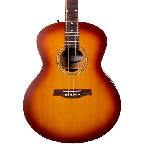  Seagull},description:The Entourage Mini-Jumbo offers a full sound with a warm mid-range tone, and, of course the award-winning craftsmanship and value Seagull is known for. Feature