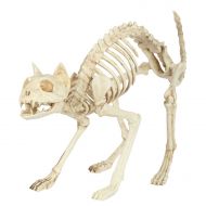 Season Skeleton Cat