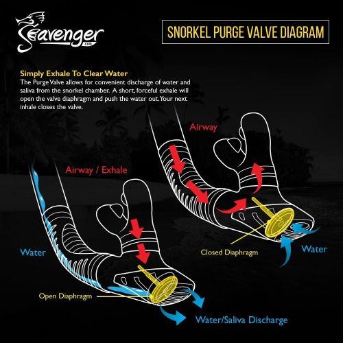  Seavenger Voyager Snorkeling Set | Travel Fins, Snorkel, Mask and Gear Bag for Men and Women