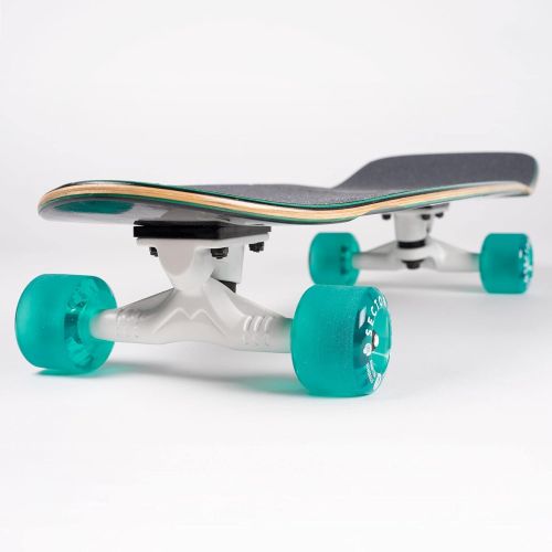  Sector 9 Unisex Hair Barrel Hopper Complete Skateboard, Adult