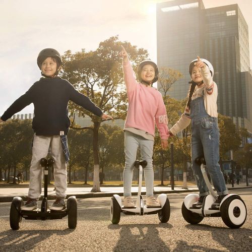  Segway Ninebot S Smart Self-Balancing Electric Scooter with LED light, Portable and Powerful, White and Black