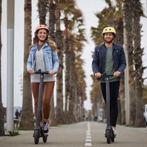  [아마존베스트]Segway Ninebot E22 Electric Kick Scooter, Upgraded Motor Power, 9-inch Dual Density Tires, Lightweight and Foldable, Dark Grey