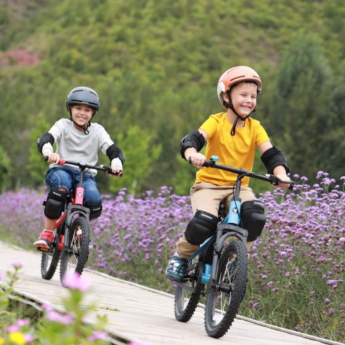  Segway Ninebot Kids Bike for Boys and Girls, 14 inch with Training Wheels, 14 18 inch with Kickstand, Pink Blue Red