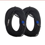 [아마존베스트]Seismic Audio - SASPT14-100-2Pack - Pair of 100 Foot Speakon to 1/4 PA DJ Speaker Cable - 2 Conductor - 14 Guage