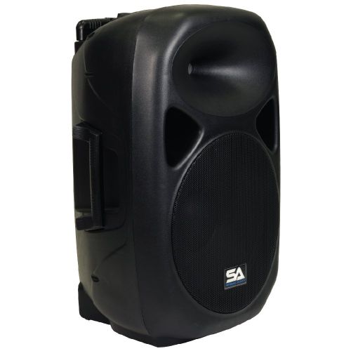  Seismic Audio - RSG-15 - Powered 15 PA Speaker Rechargeable with 2 Wireless Mics, Remote, Bluetooth, Easy Transport - Tailgate Karaoke Speaker