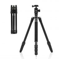 Selens 61 Modular Professional Outdoor Tripod with Panorama Ball Head with Carrying Bag, Black (TA-462)