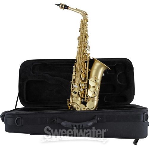  Selmer SAS711 Professional Alto Saxophone - Matte