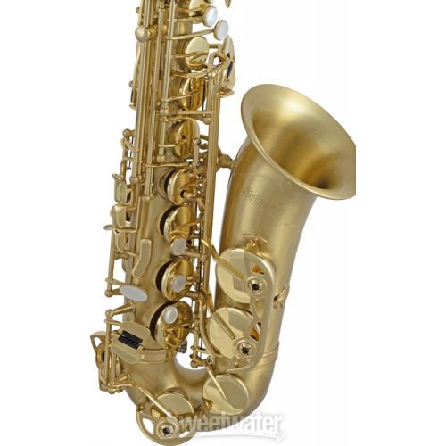  Selmer SAS711 Professional Alto Saxophone - Matte