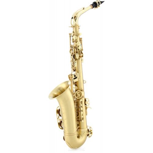  Selmer SAS711 Professional Alto Saxophone - Matte