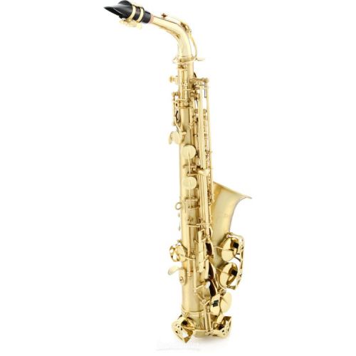  Selmer SAS711 Professional Alto Saxophone - Matte