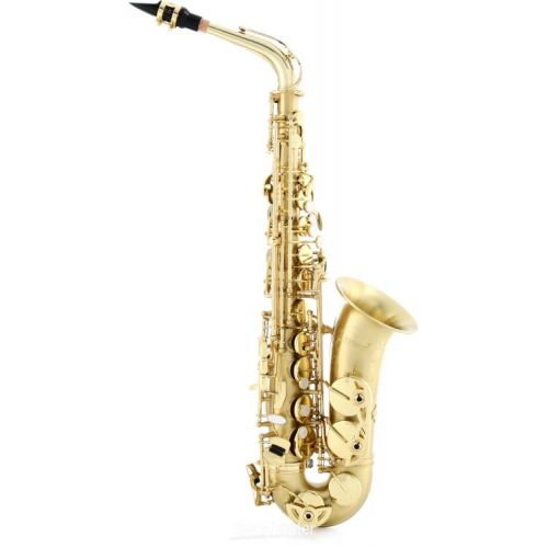  Selmer SAS711 Professional Alto Saxophone - Matte