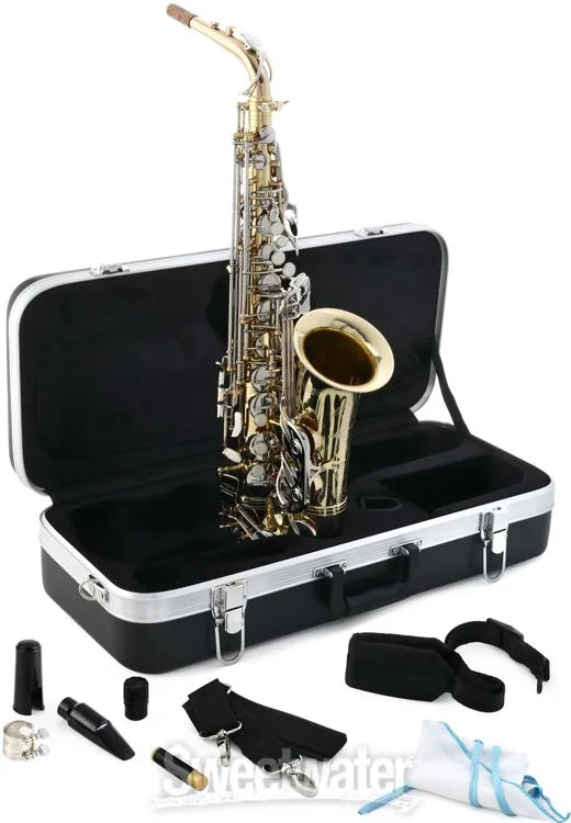  Selmer SAS301 Student Alto Saxophone - Lacquer