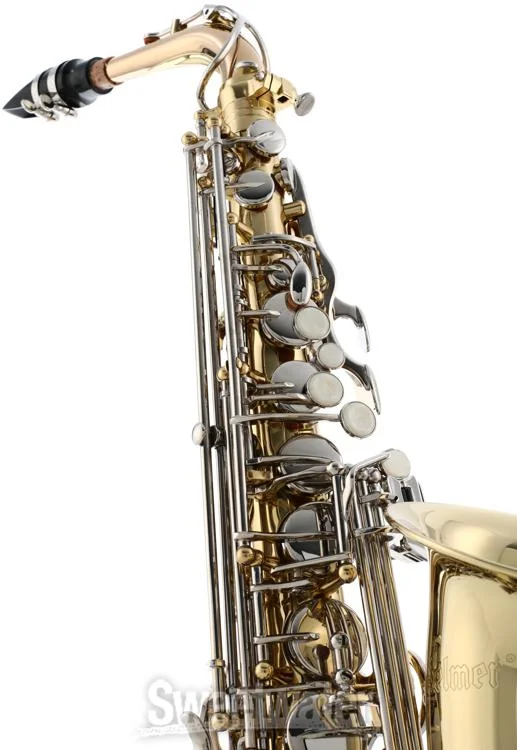  Selmer SAS301 Student Alto Saxophone - Lacquer