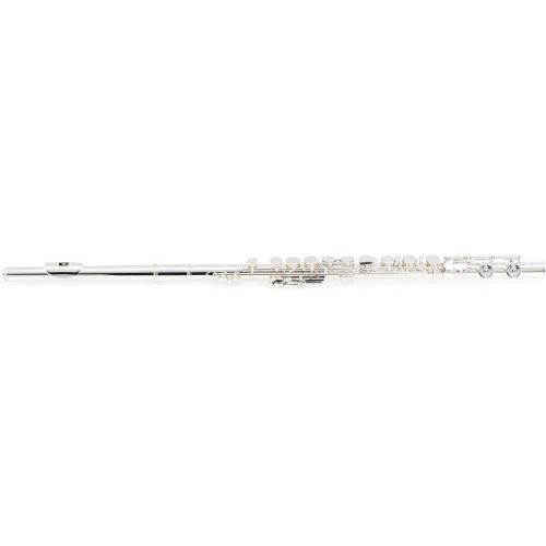  Selmer SFL301CG Student Flute Silver-Plated with Offset G Key System