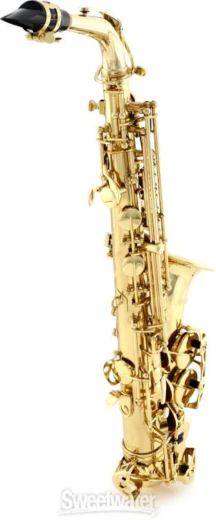  Selmer SAS711 Professional Alto Saxophone - Lacquer