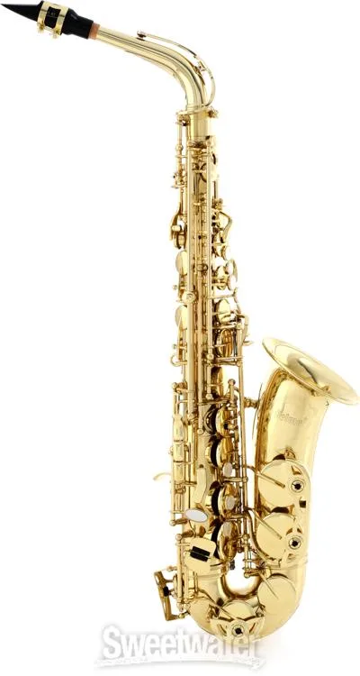  Selmer SAS711 Professional Alto Saxophone - Lacquer