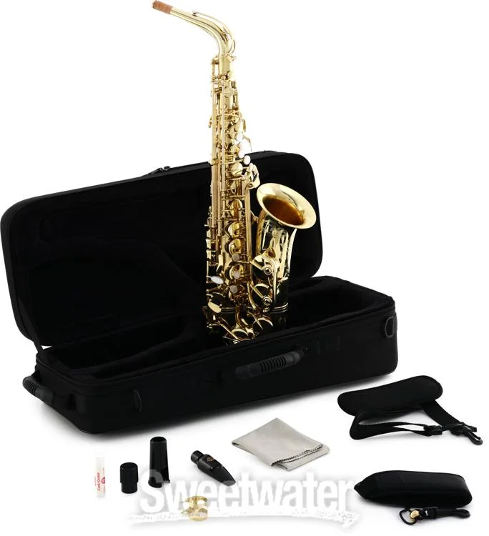  Selmer SAS711 Professional Alto Saxophone - Lacquer