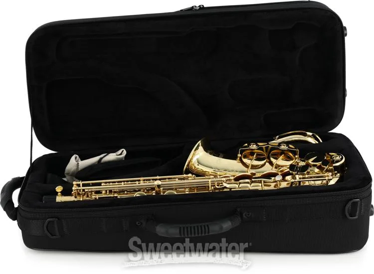  Selmer SAS711 Professional Alto Saxophone - Lacquer